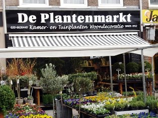 plantes and flower shop